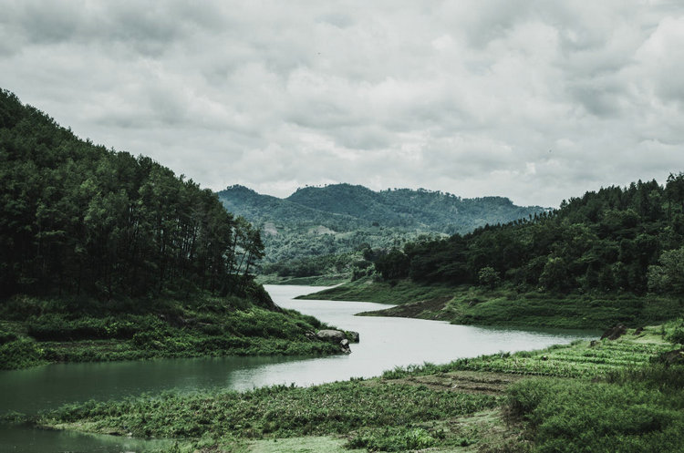 氨氮