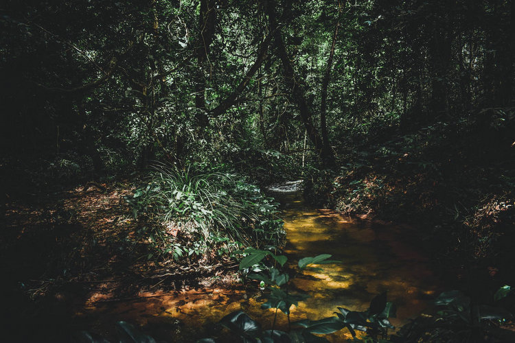 氨氮檢測儀