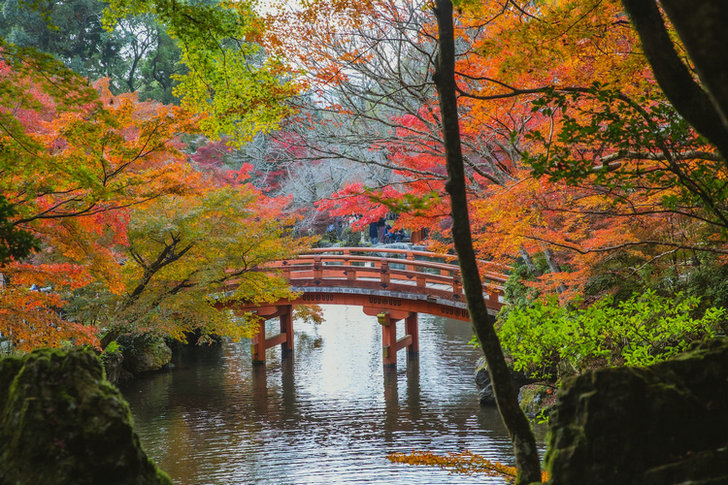 氨氮